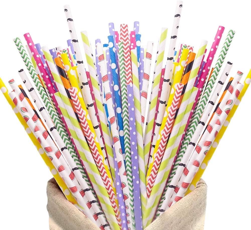 HAKACC Disposable Paper Straws for Drinking, 10 Different Pattern Party Straws for Birthday Wedding and Holiday DIY Decorations