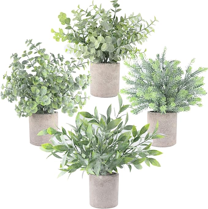 I wanted to add a little greenery to my living room, and this set does not disappoint. It has white dust that adds more realism to the plants. Be careful if you have dark surfaces underneath because the dust falling from the leaves may leave a notorious coating.