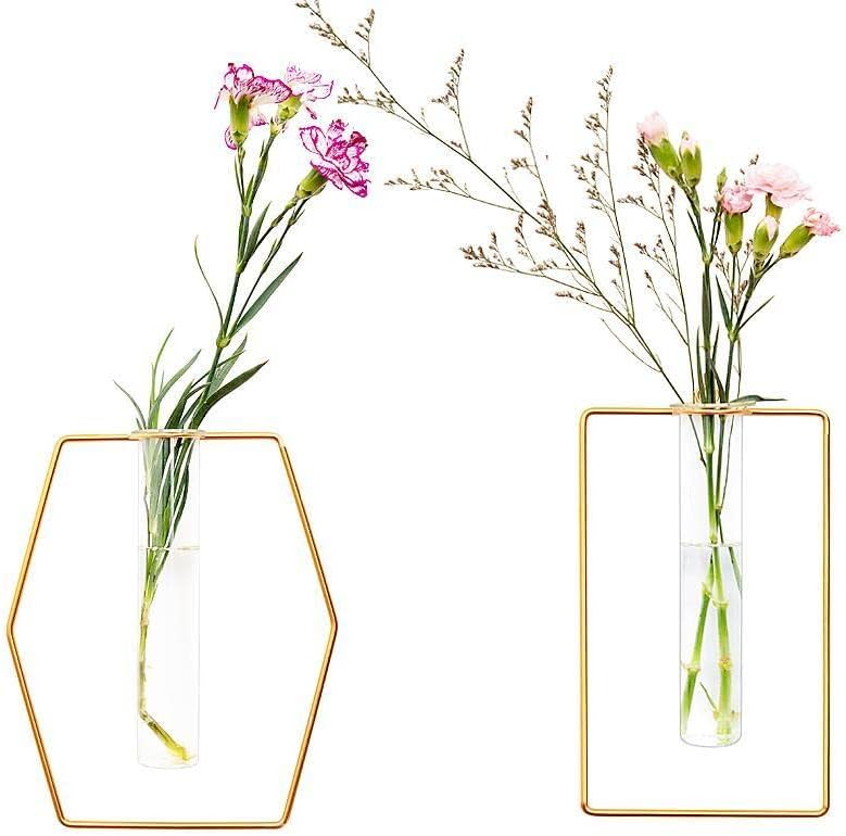 LoveCat Pack of 2 Wall-Mounted Hydroponic Planters, Hanging Flower Vases, Home Decor Geometric Terrariums, Hydroponic Glass Containers with Gold Metal Frames