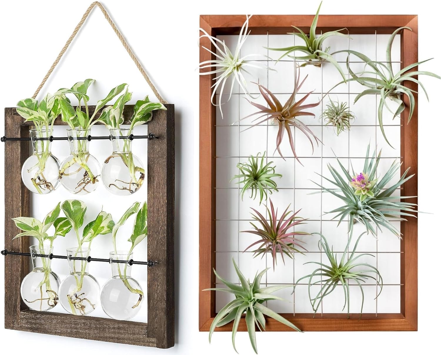 Mkono Double Layer Wall Hanging Glass Planter and Air Plant Frame Hanging, Modern Novel Flower Bulb Vase Plant Terrarium with Retro Wooden Stand, Plants Home Garden Office Decor(Plant Not Included)