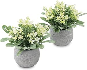 I was looking for something other than candles to put in my sconces and these plants are perfect. They are small but not too small so it looks proportional. I would recommend if anyone is looking for small decorative plants.