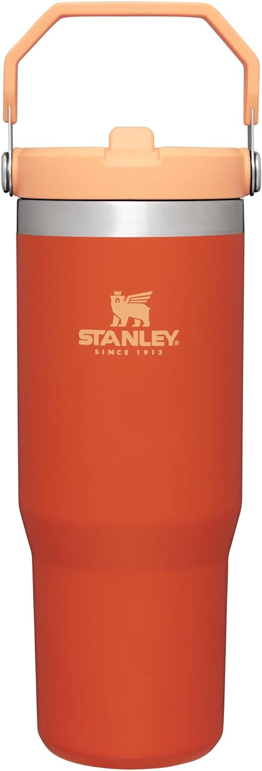 STANLEY IceFlow Stainless Steel Tumbler with Straw, Vacuum Insulated Water Bottle for Home, Office or Car, Reusable Cup with Straw Leakproof Flip