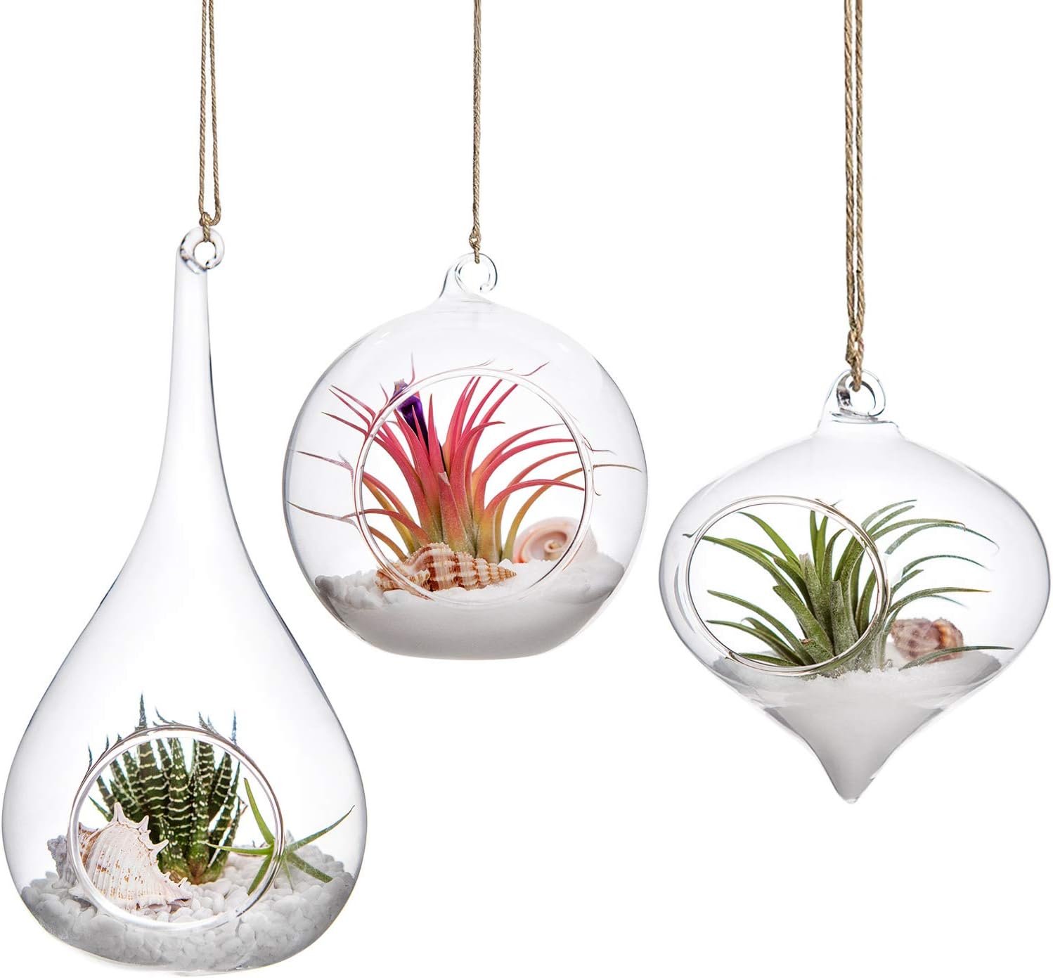 Mkono 3 Pack Glass Hanging Planter Air Fern Holder Terrarium Plants Hanger Vase, Home Christmas Decoration Gifts for Plant Lovers, Succulent Moss Tillandsias Air Plants Globe (Plant Not Included)