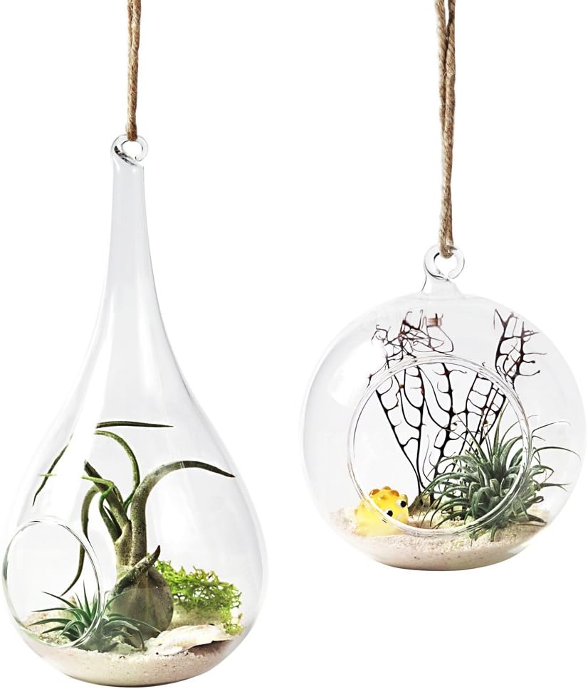 Mkono 2 Pack Glass Hanging Planter Air Fern Holder Terrarium Plants Hanger Vase Home Christmas Decoration Gift Idea for Succulent Moss Tillandsias Air Plants, Globe and Teardrop