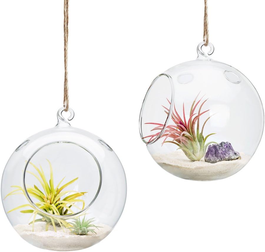 Mkono 2 Packs 6-Inch Hanging Glass Planter Round Air Plant Terrarium Globe for Succulent, Tillandsia, Air Plants, Gifts for Plant Lovers Thanksgiving Christmas Home Decoration (Plant Not Included)