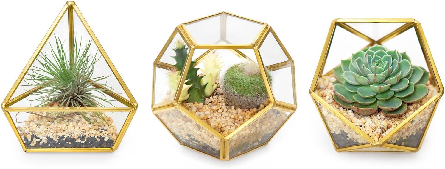 Mkono 4 Inches Mini Glass Geometric Terrarium Container Set of 3 Modern Tabletop Planter Shelves Decor Display Centerpiece for Succulent Miniature Fairy Garden Air Plant, Gold (Plant Not Included)