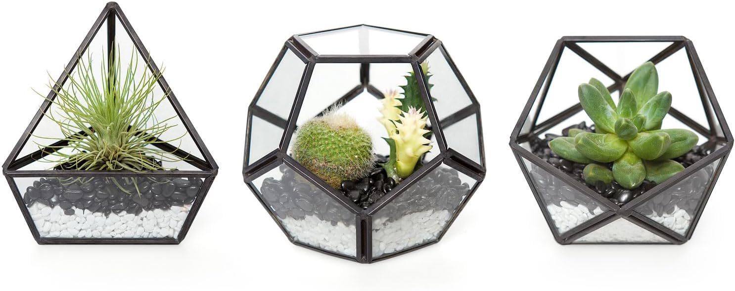 Mkono 4 Inches Mini Glass Geometric Terrarium Container Set of 3 Modern Tabletop Planter Shelves Decor Display Centerpiece for Succulent Miniature Fairy Garden Air Plant, Black(Plant Not Included)