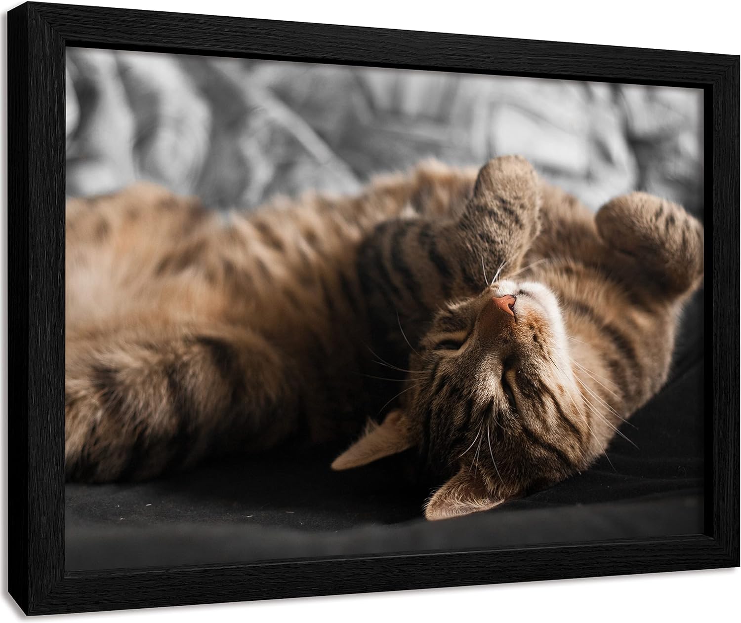 jenesaisquoi Custom Canvas Prints With Your Photos for Pet Family Frame Personalized Picture To Canvas Wall Art (Wood Frame, 16 x 12)