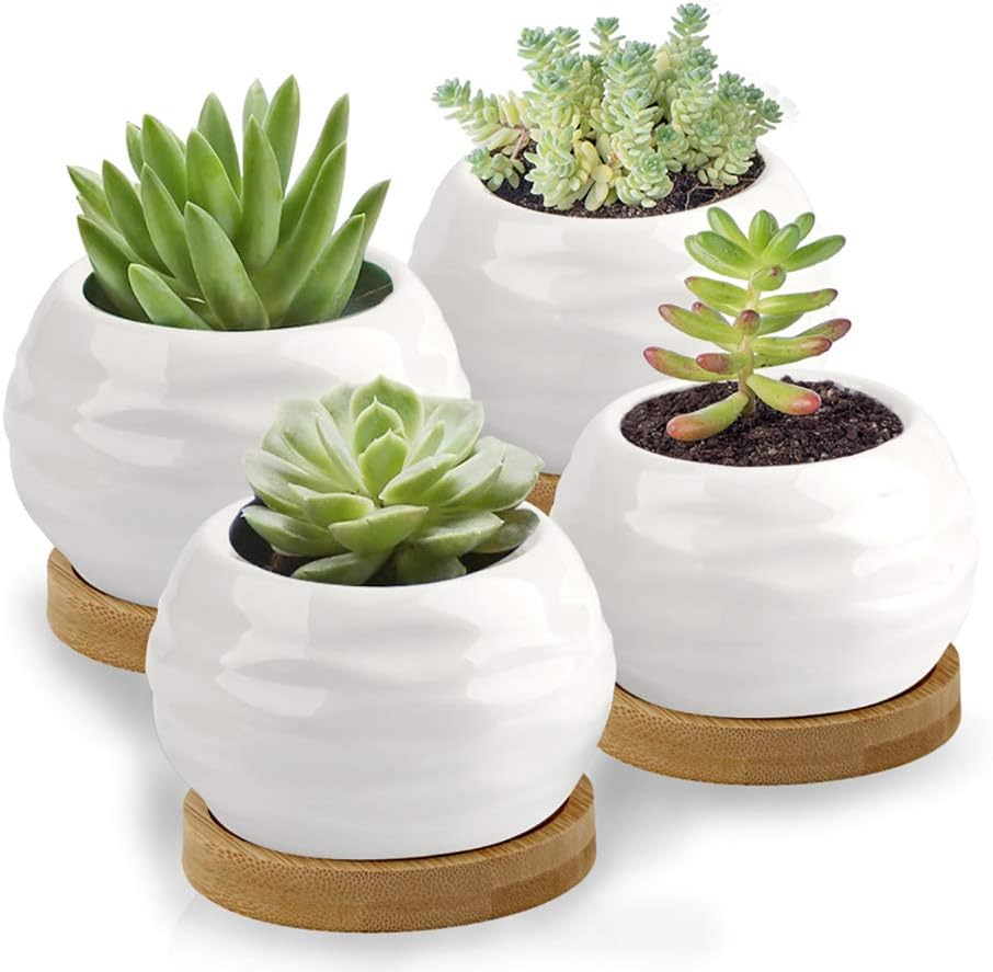 ZOUTOG Succulent Plant Pot, Water Pattern Mini 3.6 inch Ceramic Succulent Pots with Bamboo Tray, Pack of 4 (Plants NOT Included)