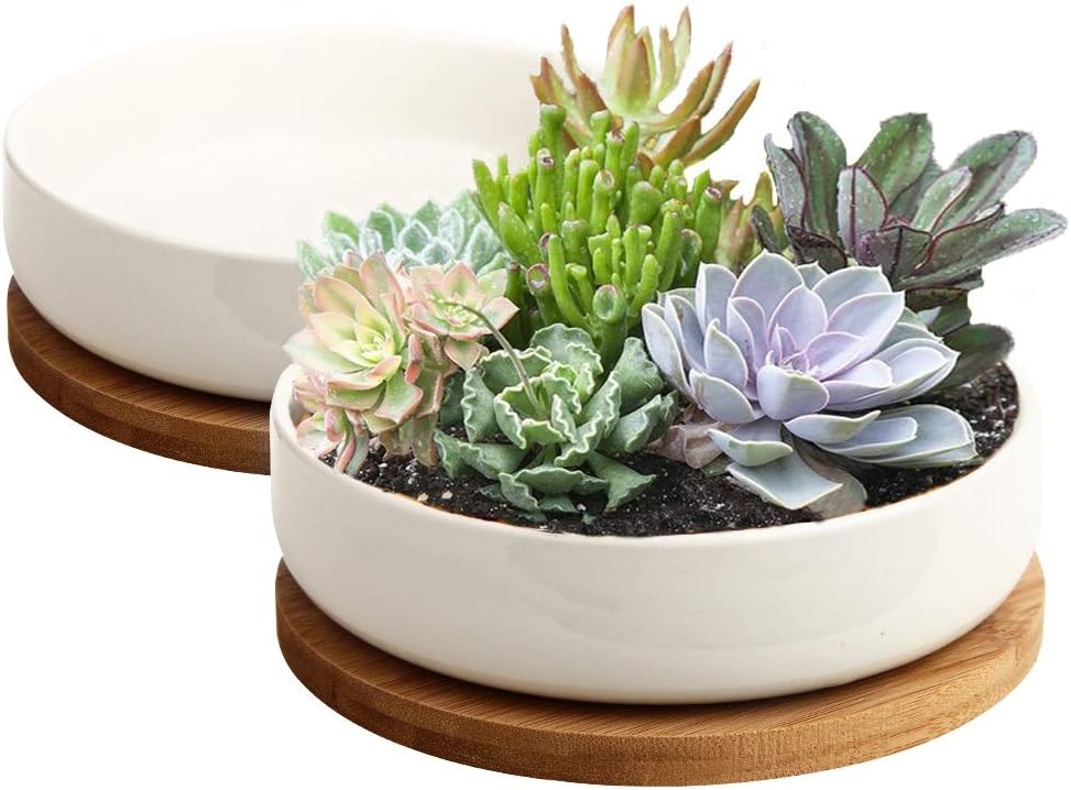 ZOUTOG Succulent Pots, 6 inch White Ceramic Flower Planter Pot with Bamboo Tray, Pack of 2 - Plants Not Included