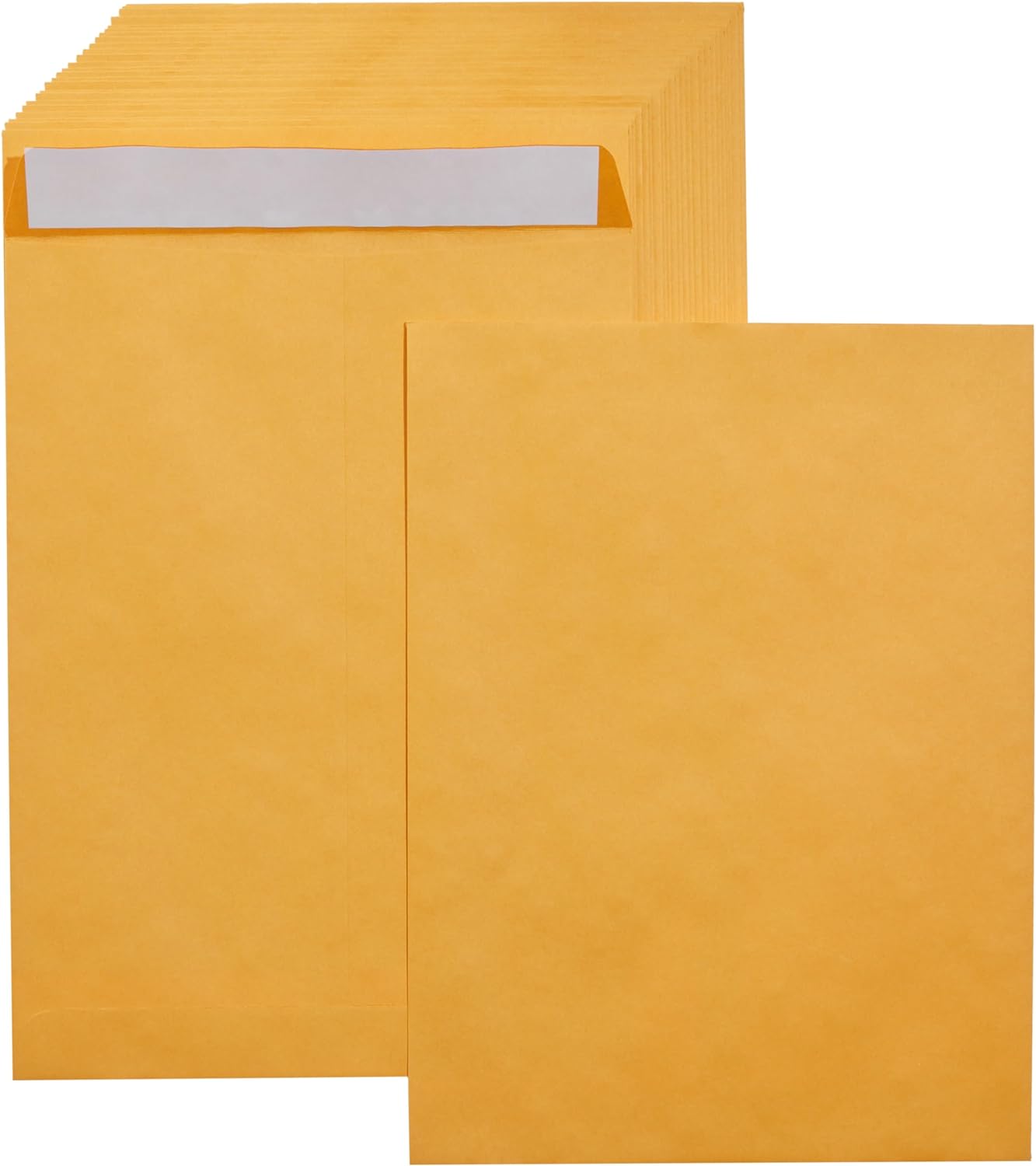 Amazon Basics Catalog Mailing Envelopes, Peel & Seal, 9x12 Inch, Brown Kraft, 100-Pack