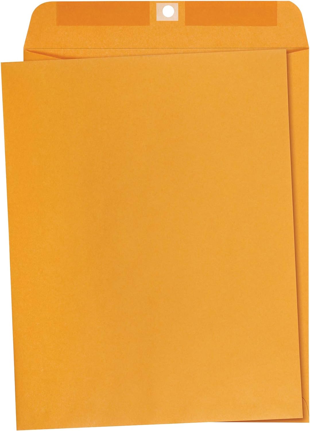 Amazon Basics 10 x 13-Inch Clasp Kraft Envelopes, Gummed, 100-Pack