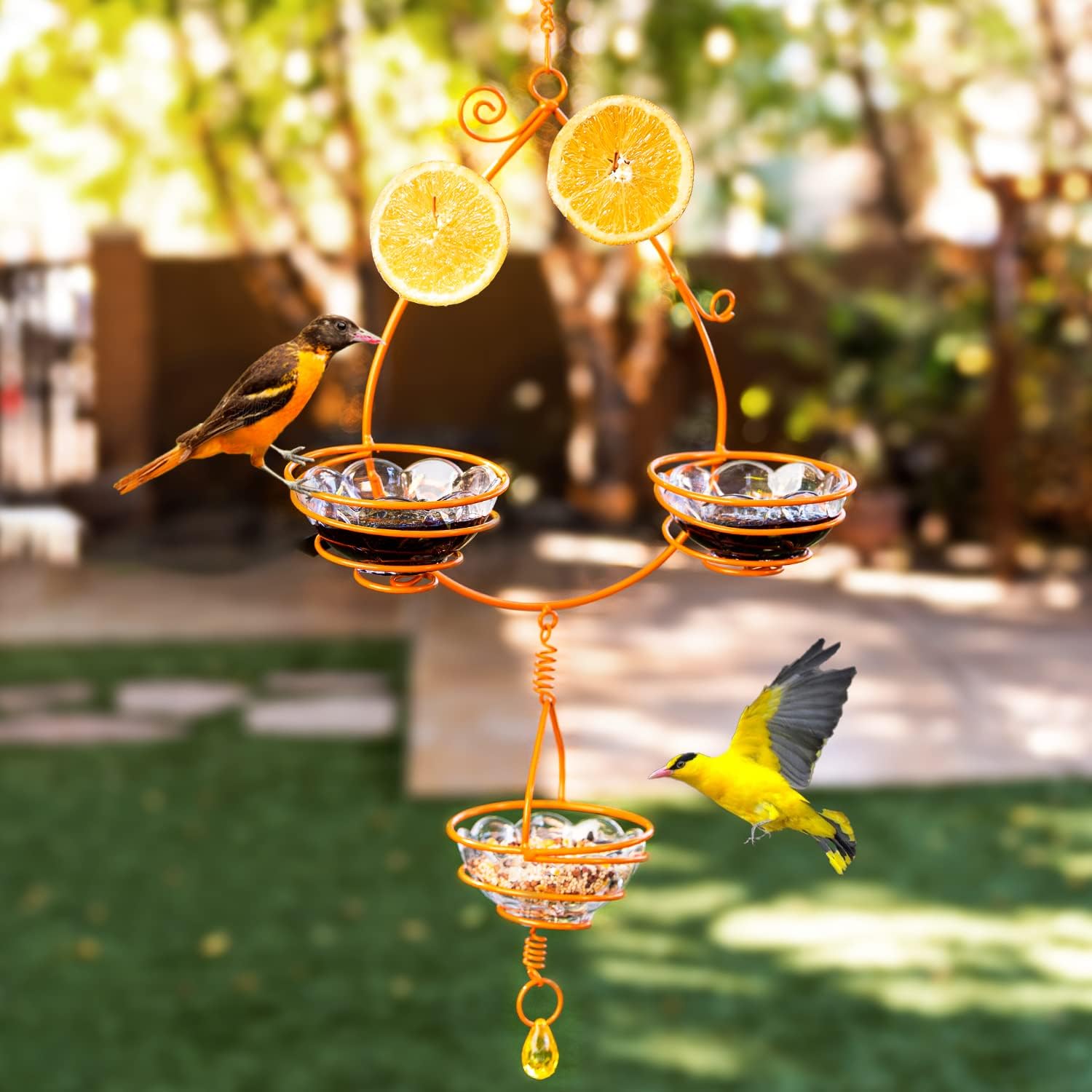 JOIEDOMI Oriole Feeders for Outdoors Hanging, Metal Bird Feeder for Outdoor Jelly and Oranges, Detached Bowl Design Birdfeeder, Orange Fruit Drinking Grape Container Bird Feeder for Garden, Outside