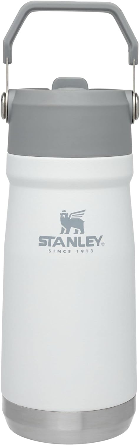 Stanley IceFlow Stainless Steel Bottle with Straw, Vacuum Insulated Water Bottle for Home, Office or Car, Reusable Leakproof Cup with Straw and Handle