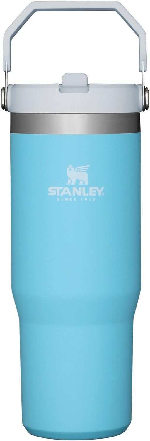 STANLEY IceFlow Stainless Steel Tumbler with Straw, Vacuum Insulated Water Bottle for Home, Office or Car, Reusable Cup with Straw Leakproof Flip