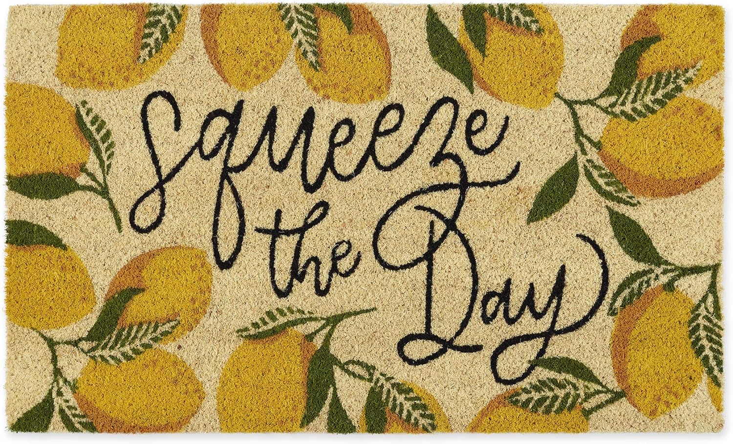 DII Natural Coir Doormat, Fun Greeting Mat, Squeeze The Day, 18x30