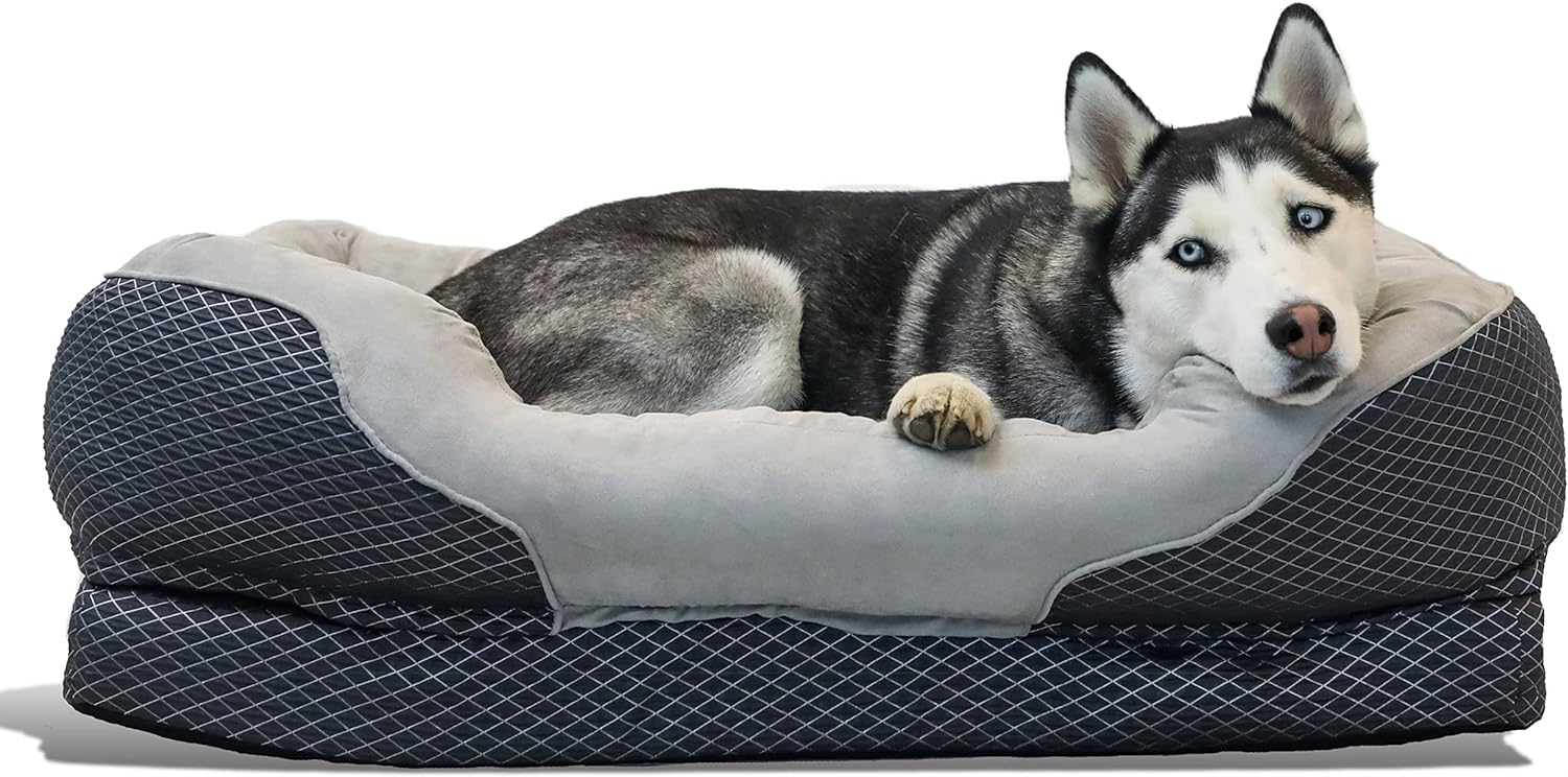 BarksBar Snuggly Sleeper Large Gray Diamond Orthopedic Dog Bed with Solid Orthopedic Foam, Soft Cotton Bolster, and Ultra Soft Plush Sleeping Space - 40 x 30 Inches