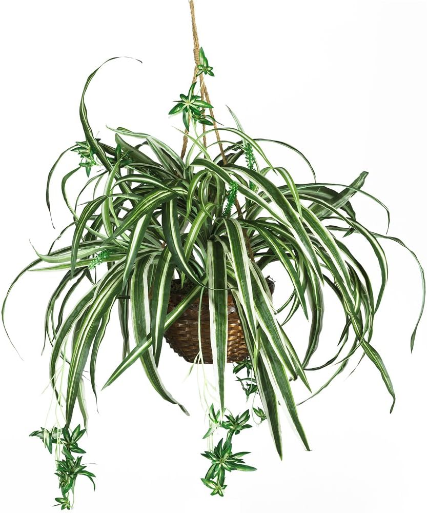 Nearly Natural 6607 Spider Hanging Basket Decorative Silk Plant, Green,10.25 x 10.25 x 17.5