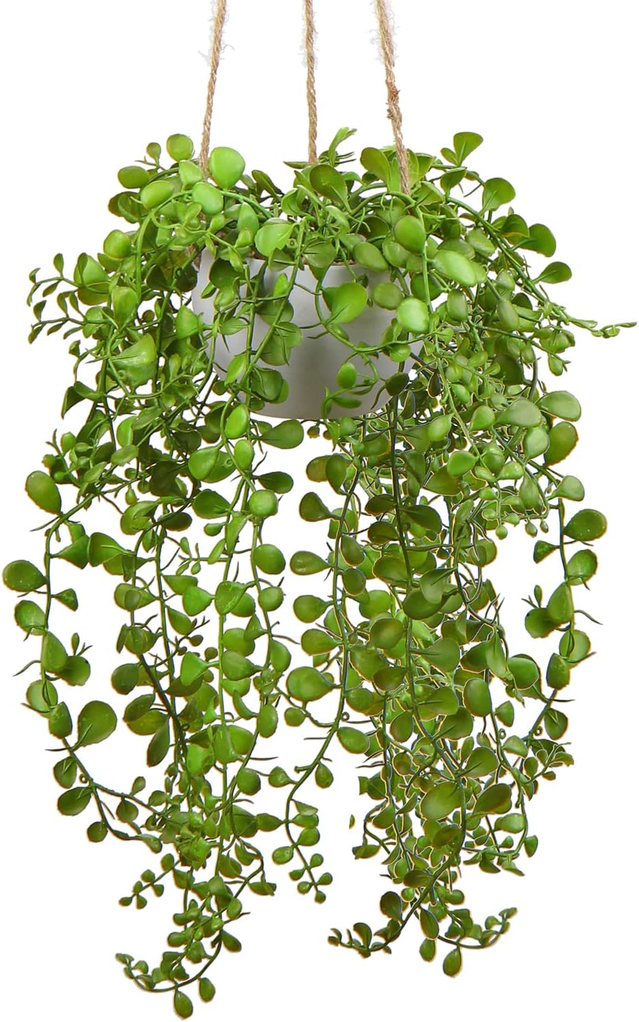 plants Artificial Hanging Fake Greenery Succulent Potted Ceramic Planter for Home Wall Indoor Outdoor Decor