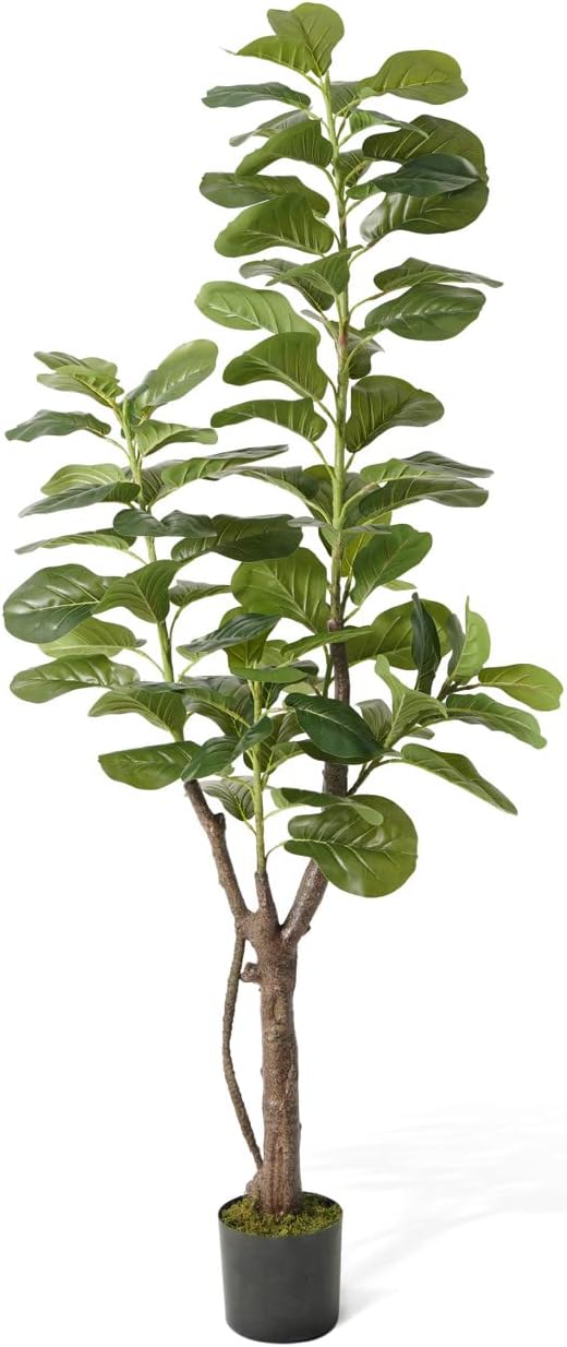 CAPHAUS Artificial Fiddle Leaf Fig Tree, 6/7 Feet in Pot with Dried Moss, for Indoor House Home Office Store, Potted Ficus Lyrata Faux Tree, Fake Plant Modern Decoration Gift for Housewarming