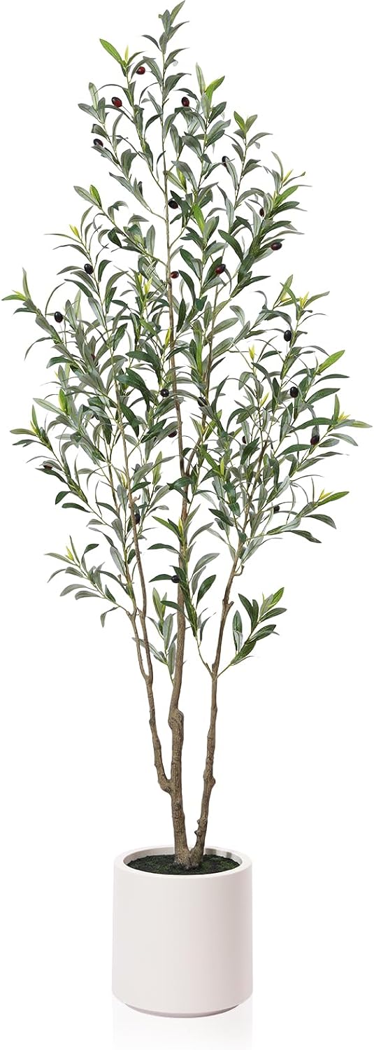 LOMANTO Artificial Olive Trees, 6 ft Tall Fake Olive Trees for Indoor, Faux Olive Silk Tree, Large Olive Plants with White Planter for Home Decor and Housewarming Gift, 1 Pack