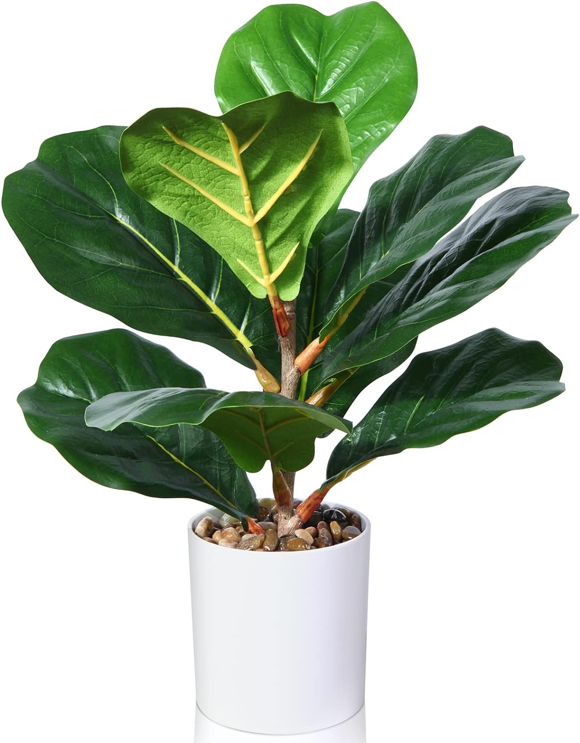 Kazeila Artificial Fiddle Leaf Fig Tree Fake Ficus Lyrata Plant 16 Inch Faux Desk Plant for Indoor Decoration Perfect Housewarming Gift