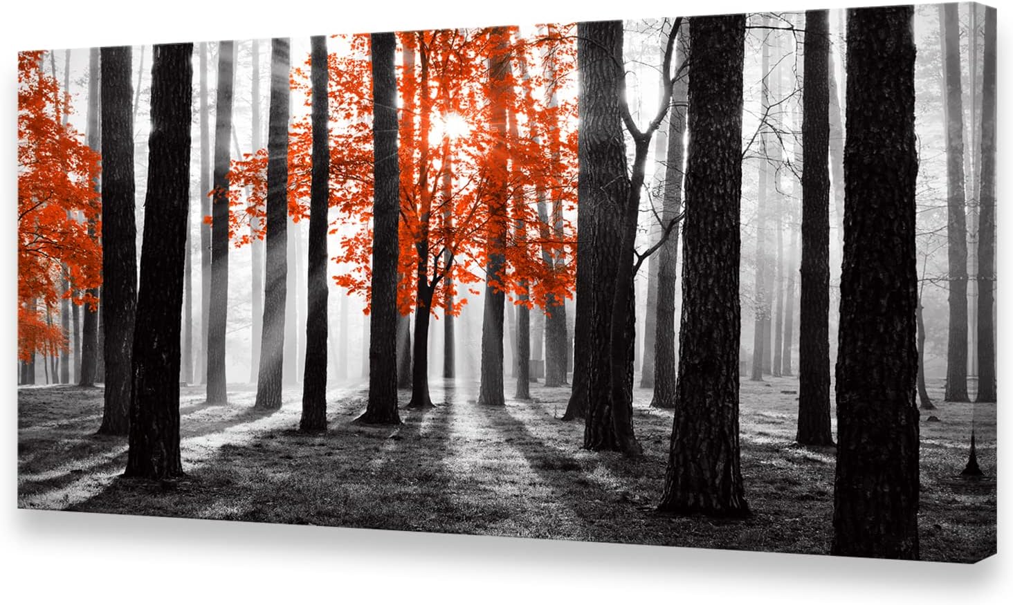 Cao Gen Decor Art S06662 Wall Art Canvas Painting Red Tree in Black and White Sunshine Foggy Forest Picture Poster Print Framed and Stretched Ready to Hang for Living Room Bedroom Office Home Decor