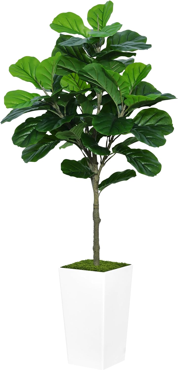 ASTIDY Fiddle Leaf Fig Tree Artificial 5FT - Faux Fiddle Leaf Fig Tree with White Tall Planter - Fake Ficus Lyrata Floor Plant Potted - Artificial Fig Tree for Home Office Living Room Decor Indoor