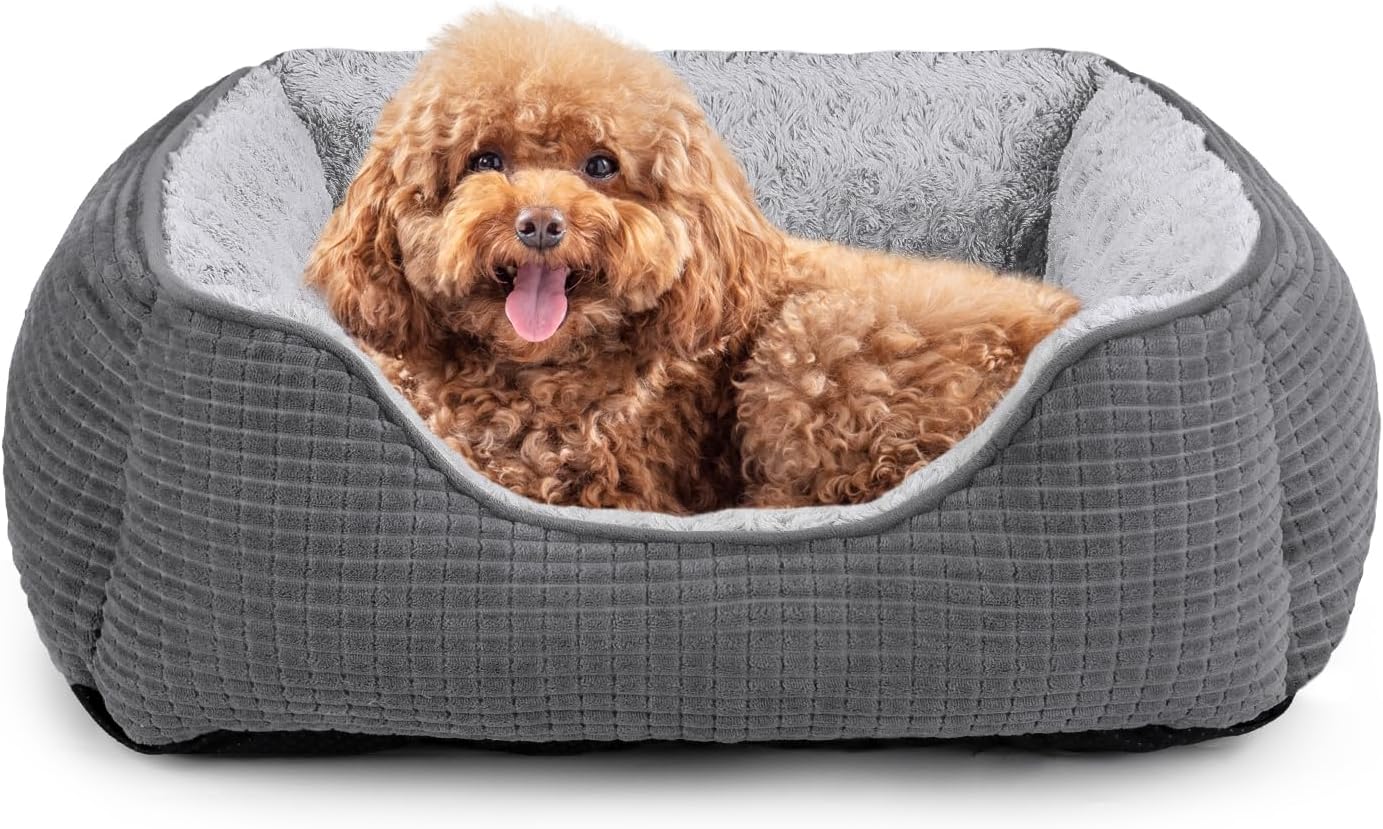 MIXJOY Small Dog Bed for Small Medium Large Dogs, Washable Orthopedic Dog Sofa Bed, Durable Rectangle Pet Bed, Soft Sleeping Cat Bed & Calming Puppy Bed with Anti-Slip Bottom-25''x21''x8''