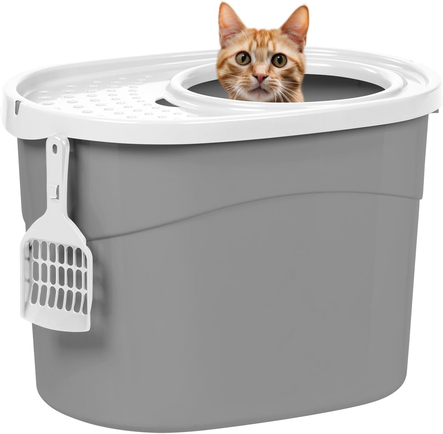 IRIS USA Oval Top Entry Cat Litter Box with Scoop, Kitty Litter Tray with Litter Catching Lid Less Tracking Dog Proof and Privacy Large, Gray/White