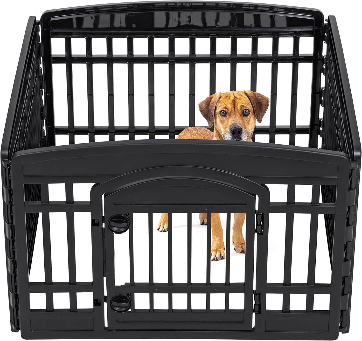 IRIS USA 24-inch 4 Panel Exercise Pet Playpen with Door, Black