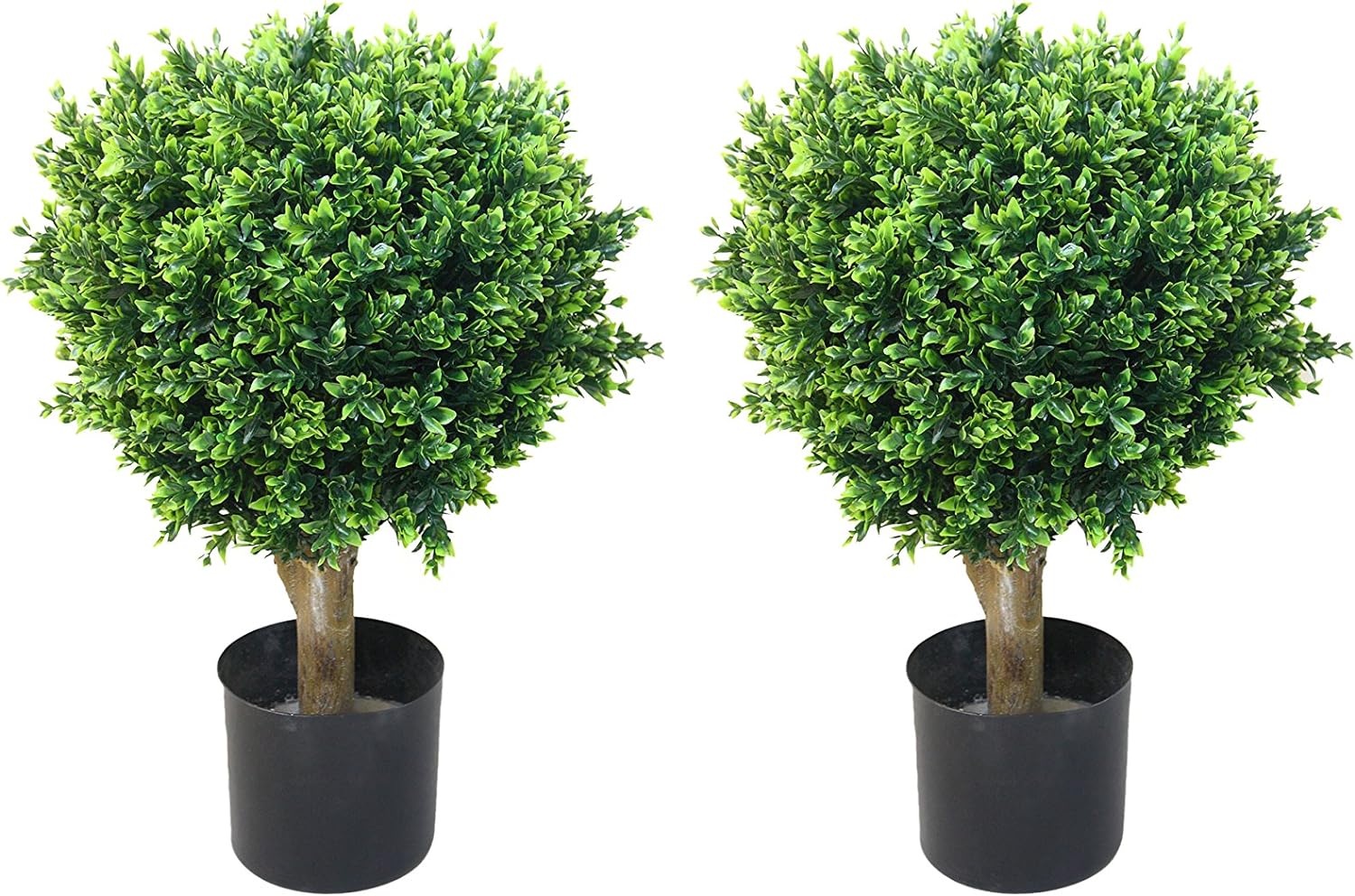 Pure Garden 50-10008 Set of Two Hedyotis Topiary Plants, 17x17, Green