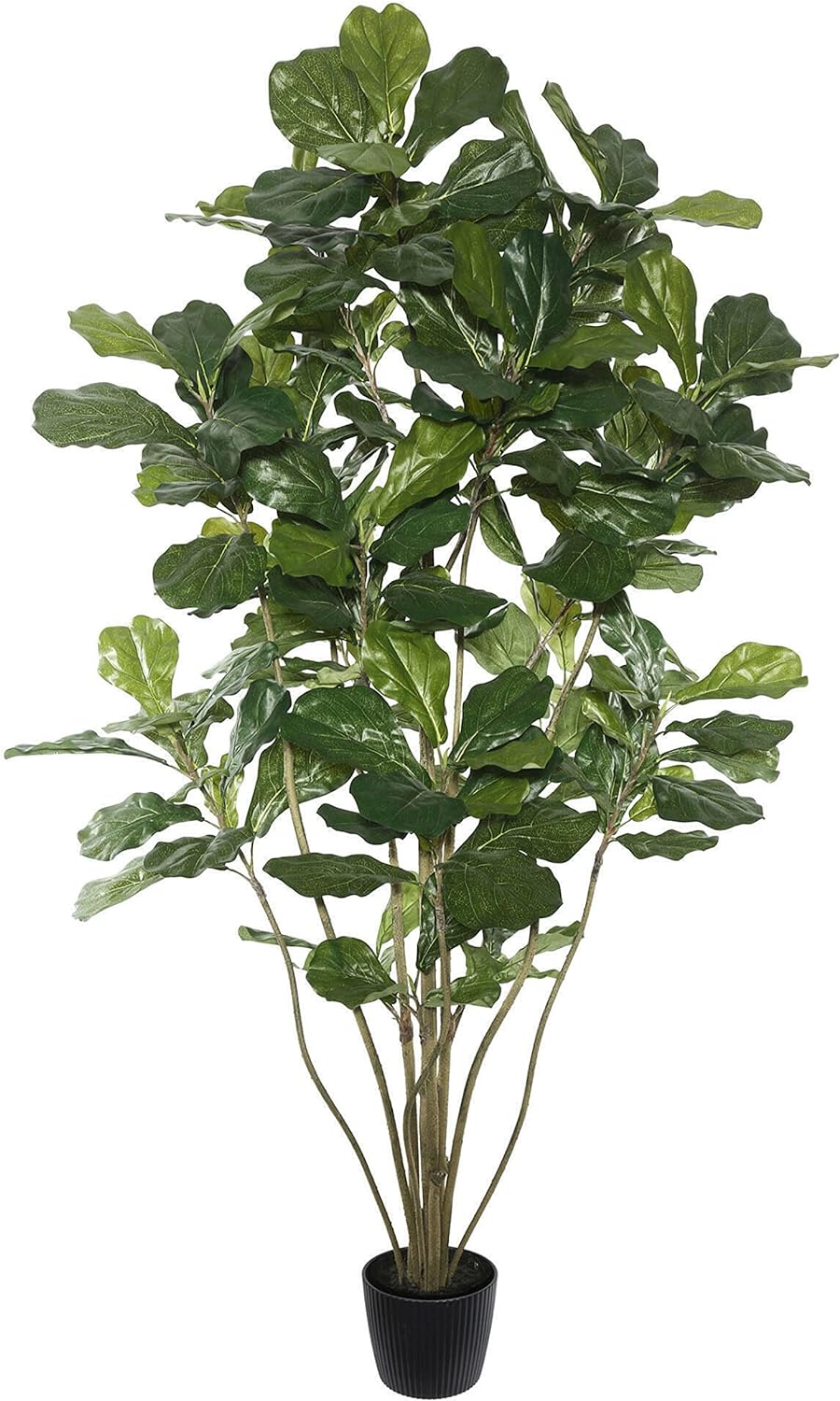 Vickerman Everyday Faux Fiddle Leaf Fig Tree 6ft Tall Green Silk Artificial Indoor Fiddle Plant with 204 Large Fiddle Leaves and Multiple Stems Home Office Decor