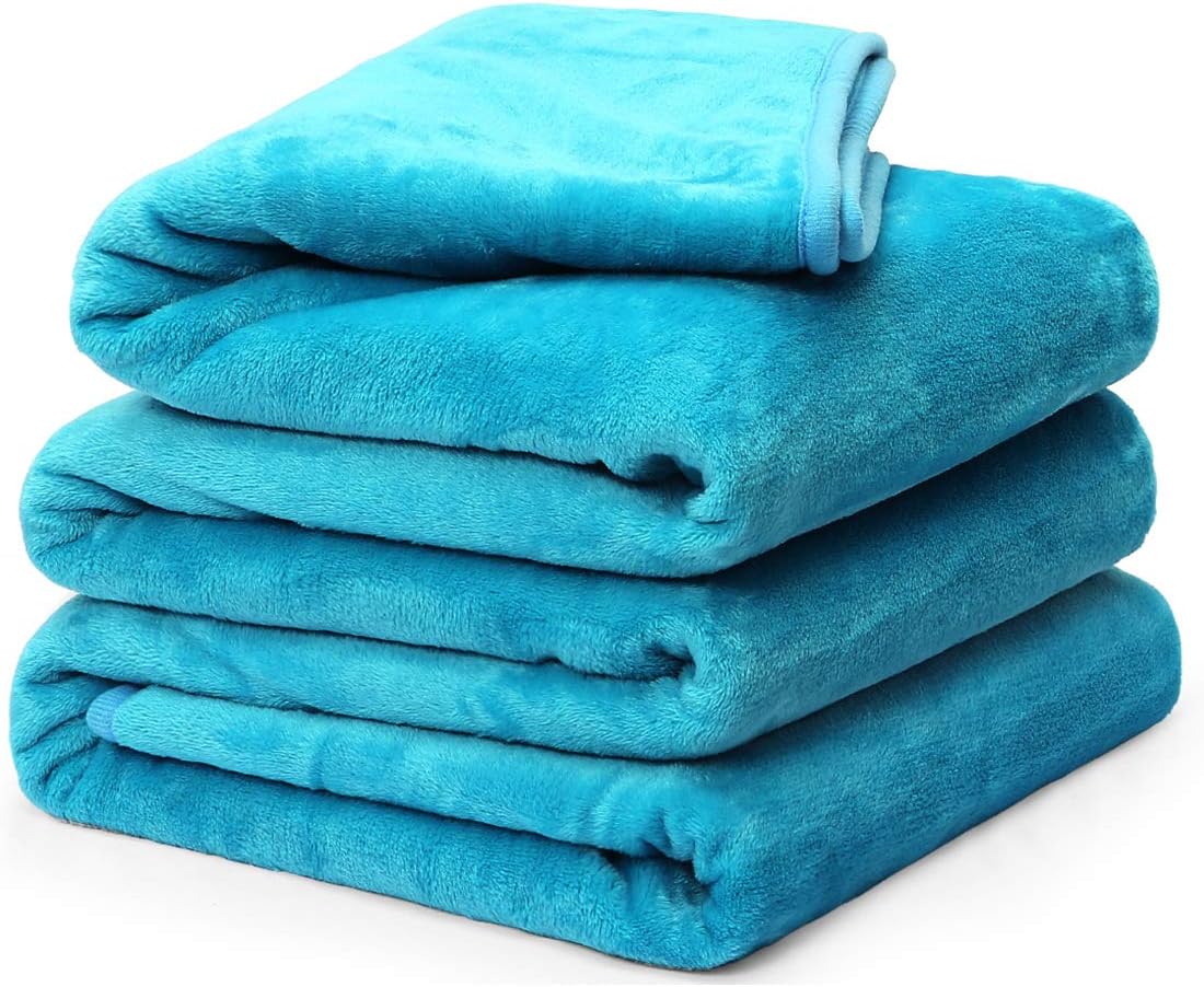 LEISURE TOWN Fleece Blanket Queen King Twin Throw Size Soft Summer Cooling Breathable Luxury Plush Travel Camping Blankets Lightweight for Sofa Couch Bed (Turquoise, Queen (90 x 90))