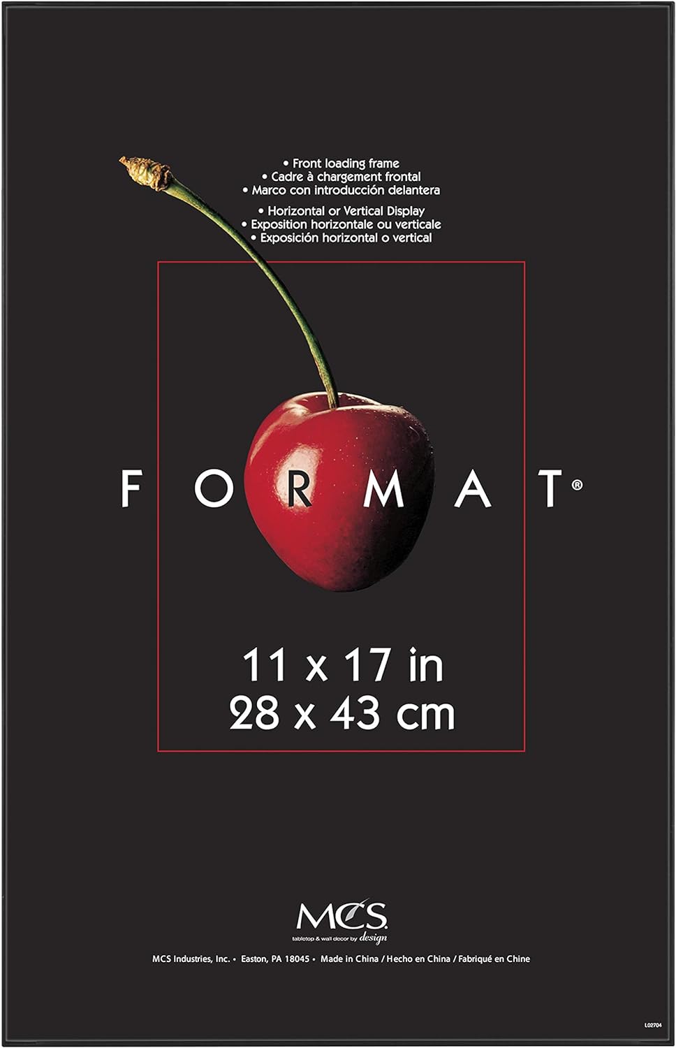 MCS Format Frame, Black, 11 x 17 in, Single