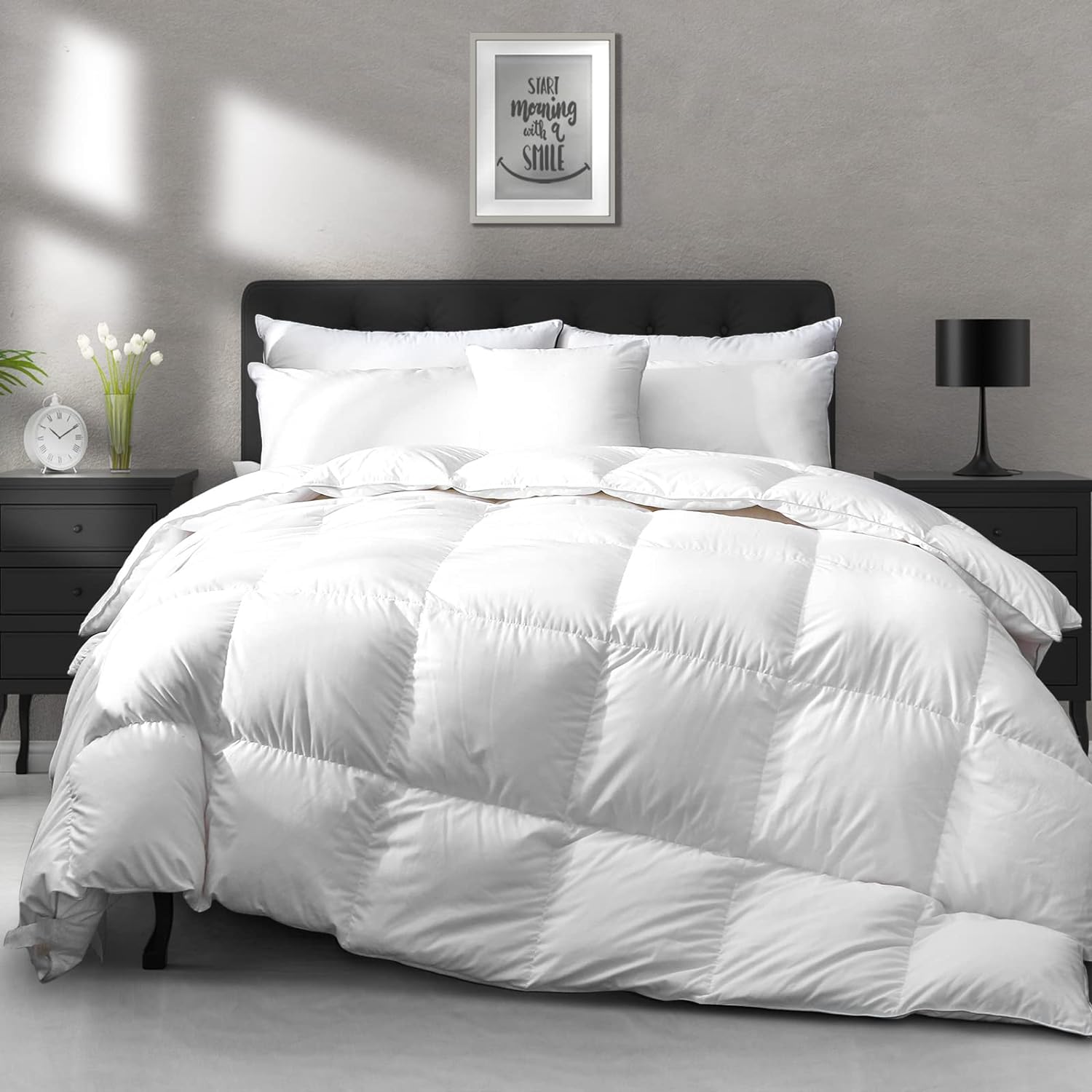 APSMILE Luxury All Season Goose Feathers Down Comforter Full/Queen Size Duvet Insert - 100% Organic Cotton, 750 Fill Power Medium Warmth, (Ivory White, 90X90)