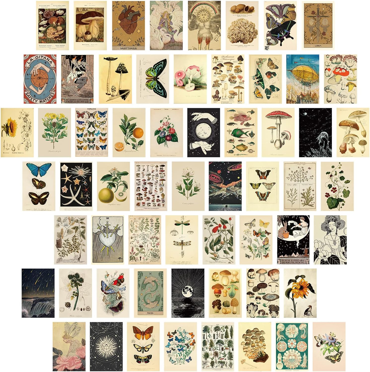 Containlol 60 Pcs Vintage Wall Collage Kit Botanical Illustration Tarot Aesthetic Print Vintage Wall Prints Vintage Cards Photo Wall Collection Aesthetic Collage Dorm Bedroom Decor for Teen Boys Girls