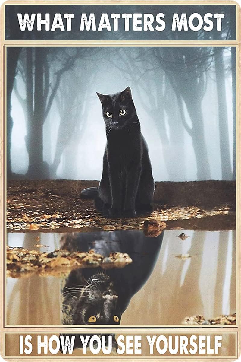 Inspirational Quote Cat Poster What Matters Most is How You See Yourself Cat Sign For Women Girls Room Wall Decor (703)