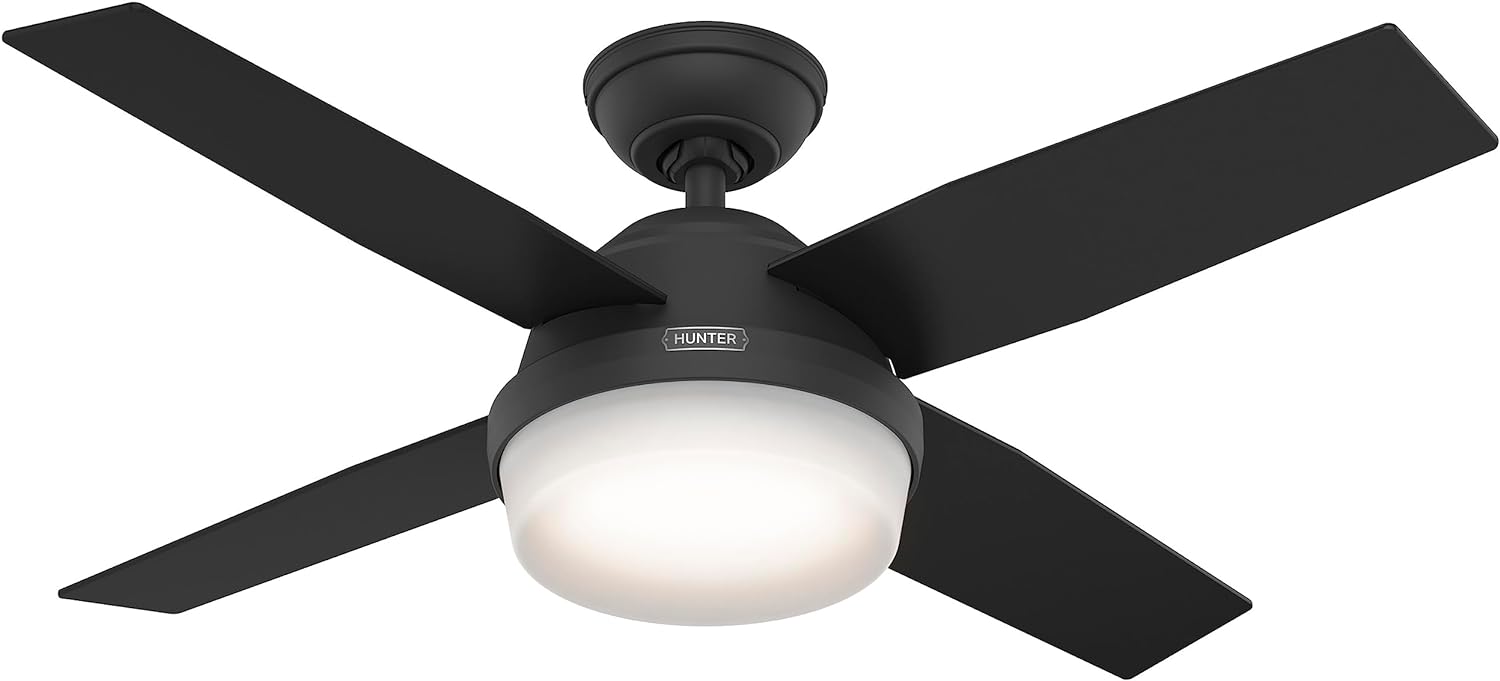 Hunter Fan Company 52391 Dempsey Ceiling Fan, 44 Inches, Matte Black