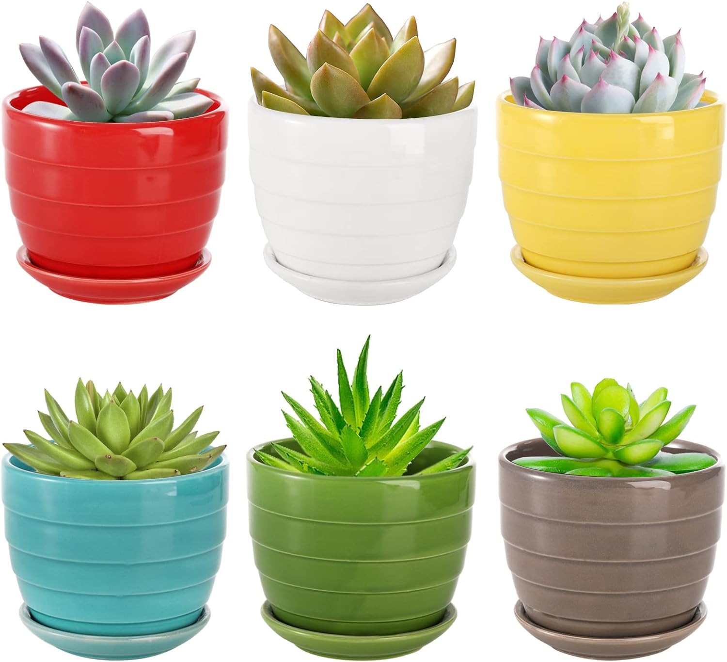 Elsjoy Set of 6 Ceramic Succulents Planter with Drainage Tray, 4.3 Inch Decorative Flower Pots Saucer Small Planter Pot for House Plants, Indoor Outdoor Plants, 6 Colors