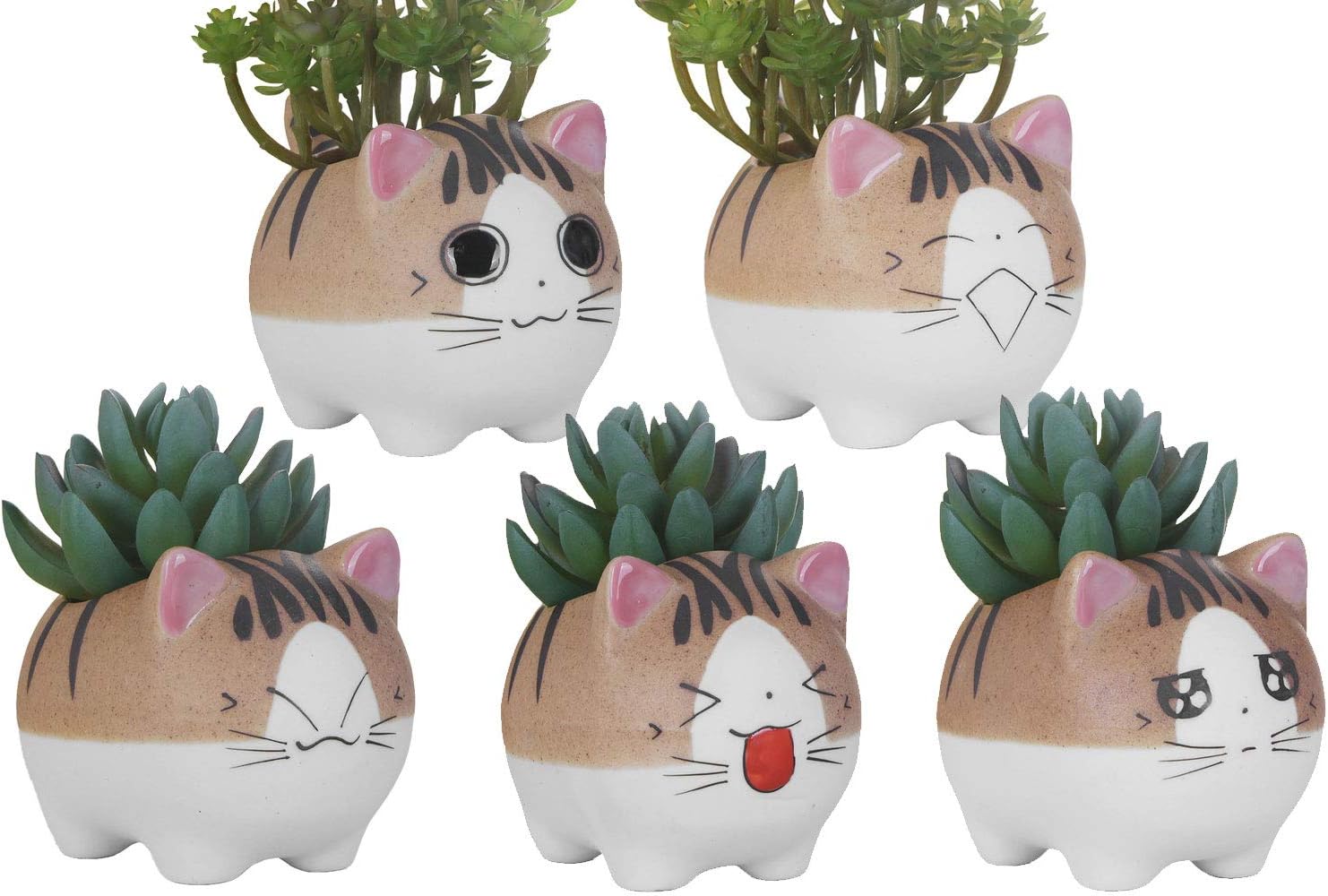 VanEnjoy Set of 5 Large Version Cat Succlent pots Cat Pot, with Drainage Hole, Flower Pot, Handmade Ceramic Ornaments Cat Gifts for Cat Lovers Office, 4.7 inch