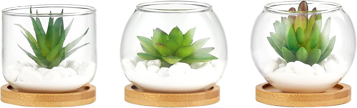 Mkono Artificial Succulent in Clear Glass Pot, 3 Mini Potted Fake Plants for Women Office Decor Small Faux Green Plant with BambooTray for Bookshelf Bathroom Kitchen Tabletop Centerpiece