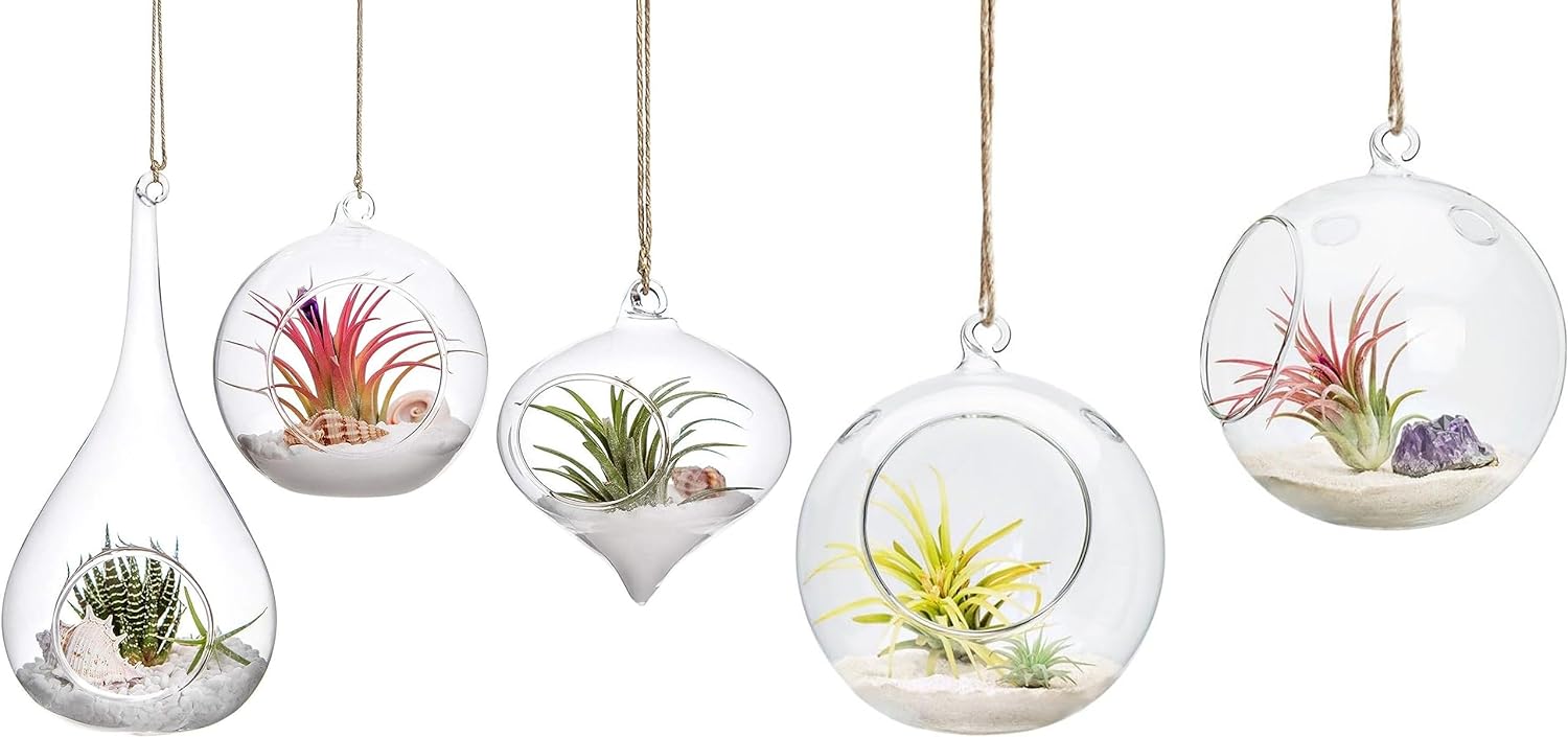 Mkono 5 Pack Hanging Glass Planter Air Plant Terrarium Decorations for Succulent, Tillandsia, Candle Holder (Plant Not Included)