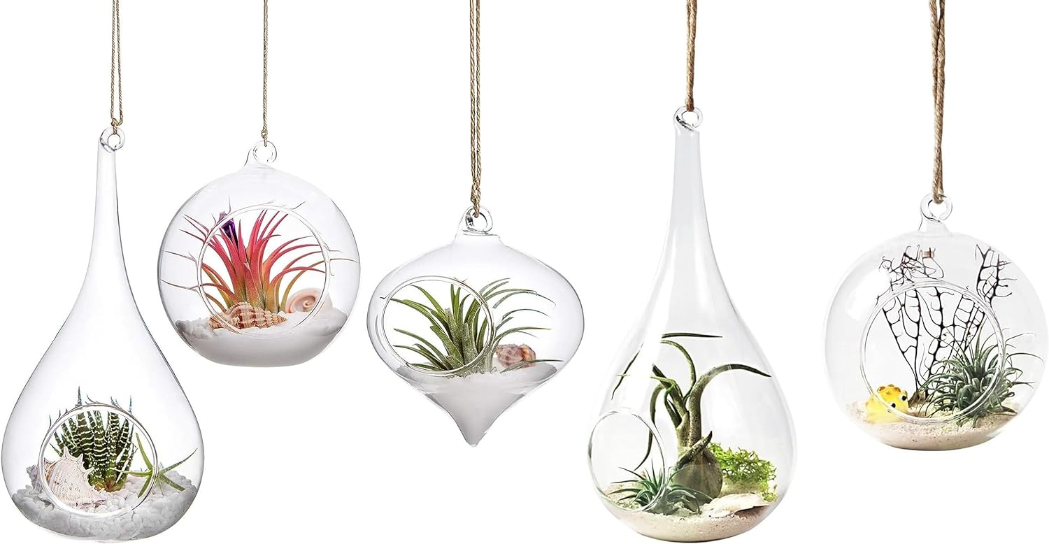 Mkono 5 Pack Glass Hanging Planter Air Fern Holder Terrarium Plants Hanger Vase Home Decoration Gift Idea for Succulent Moss Tillandsias Air Plants, Olive, Globe and Teardrop (Plant Not Included)