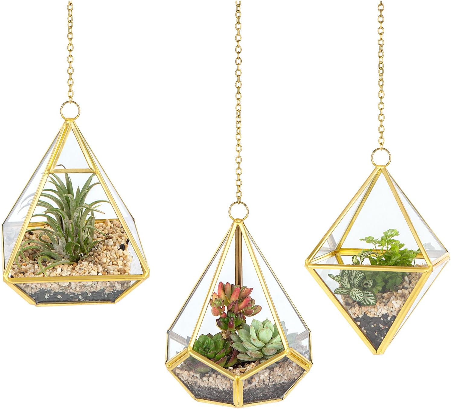 Mkono 3 Pcs Small Hanging Glass Terrarium Geometric Container Vertical Modern Planter Windowsill Decor DIY Display Box Centerpiece Gift for Succulent Fern Moss Air Plants Miniature Fairy Garden