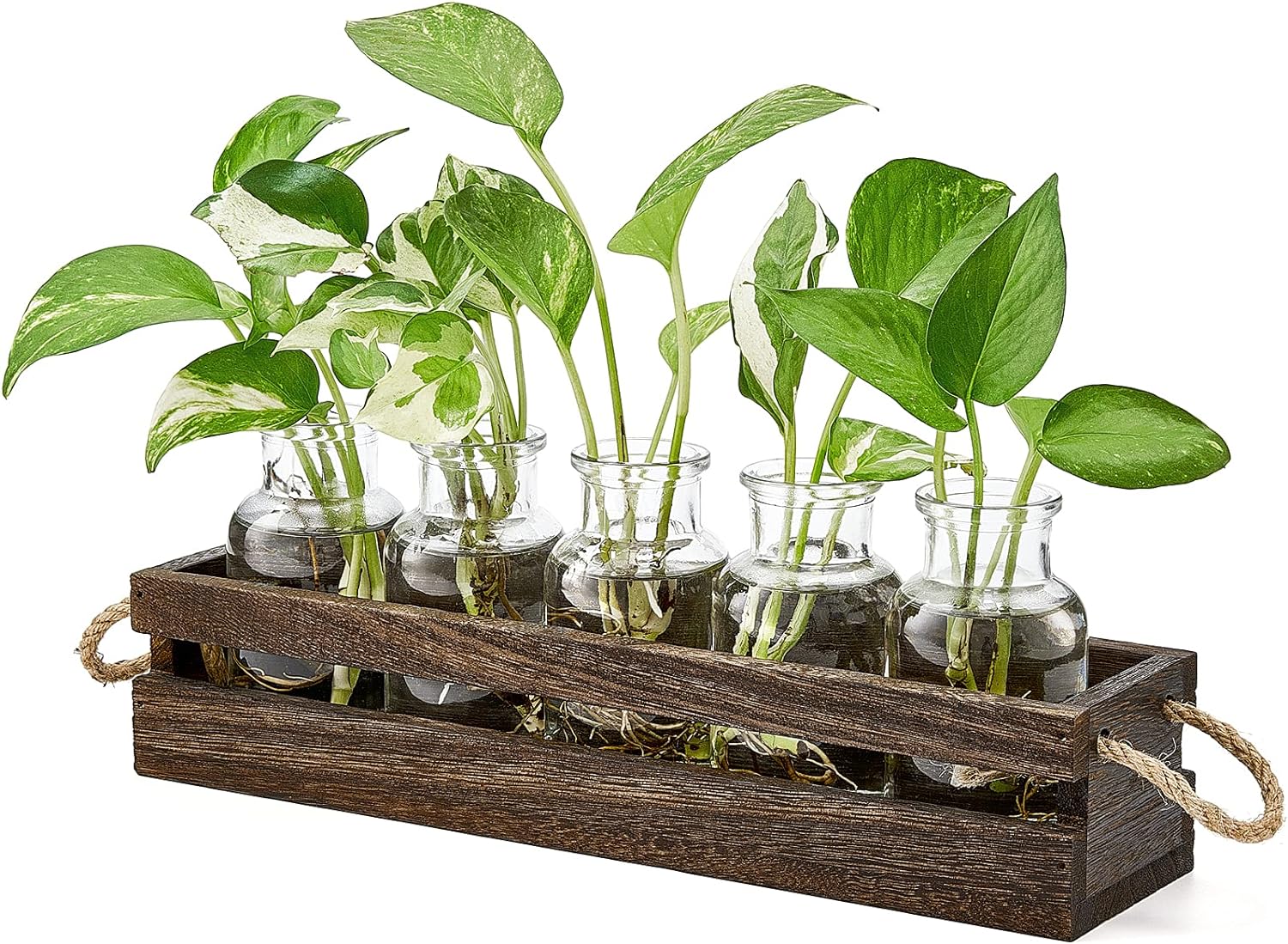 Mkono Desktop Plant Propagation Stations Glass Jars Planter for Hydroponic Plants Centerpiece Indoor Decor Brown, Plant Lover Gifts