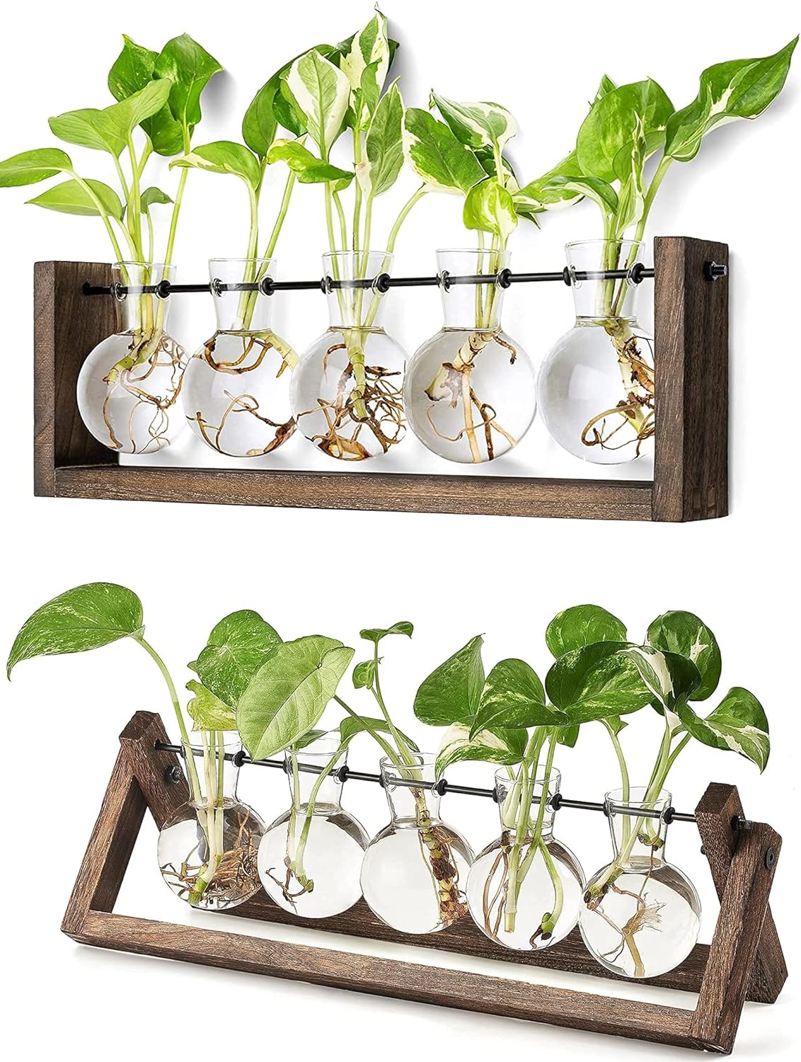 Mkono Plant Terrarium with Wooden Stand, Wall Hanging Glass Planter Desktop Glass Bulb Vase Retro Wooden Holder for Propagating Hydroponics Plants Pothos Home Office Garden Decor