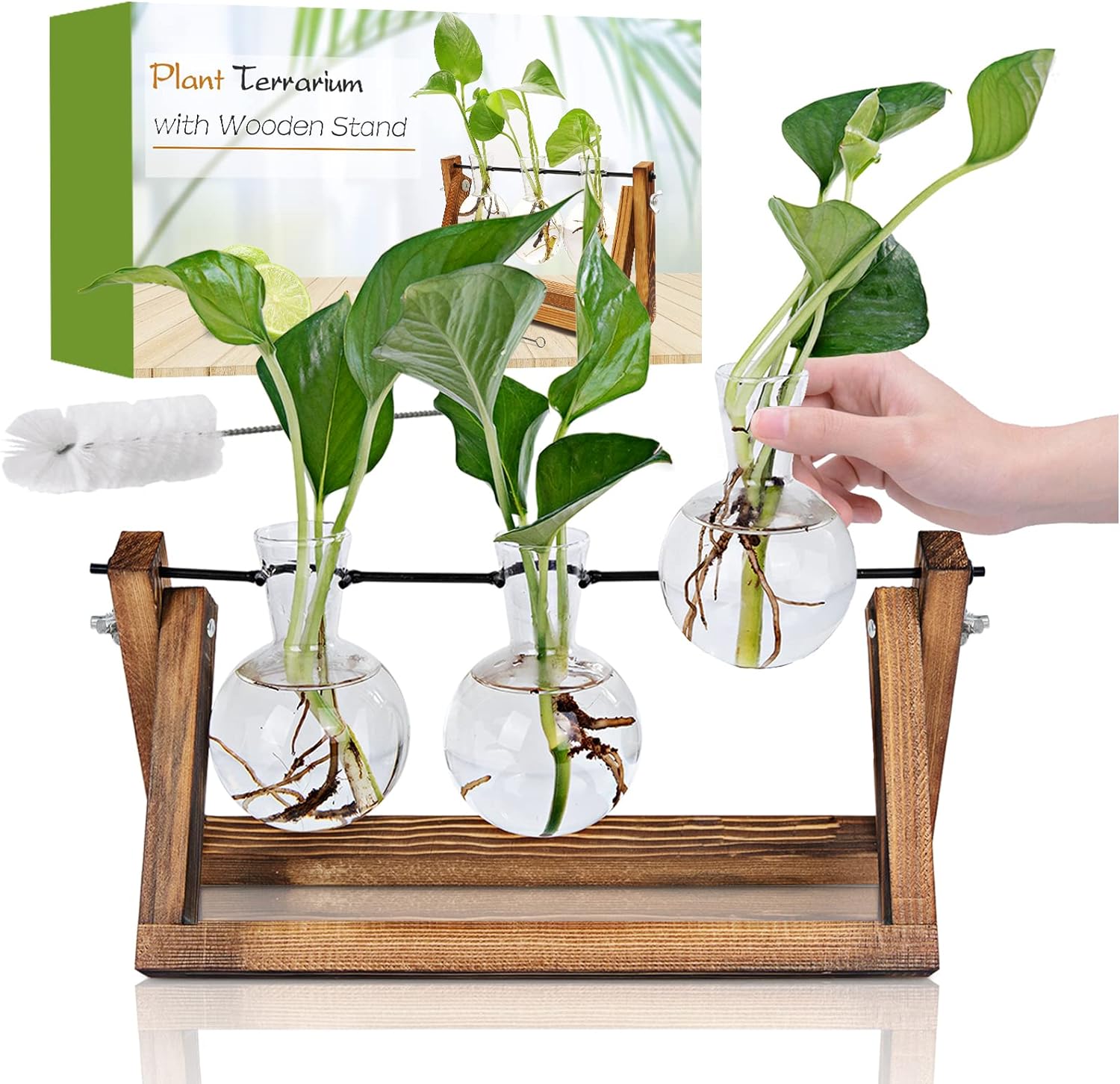 Plant Propagation Station, Plant Terrarium with Wooden Stand, Unique Gardening Birthday Gifts for Women Plant Lovers, Home Office Garden Decor Planter - 3 Bulb Glass Vases