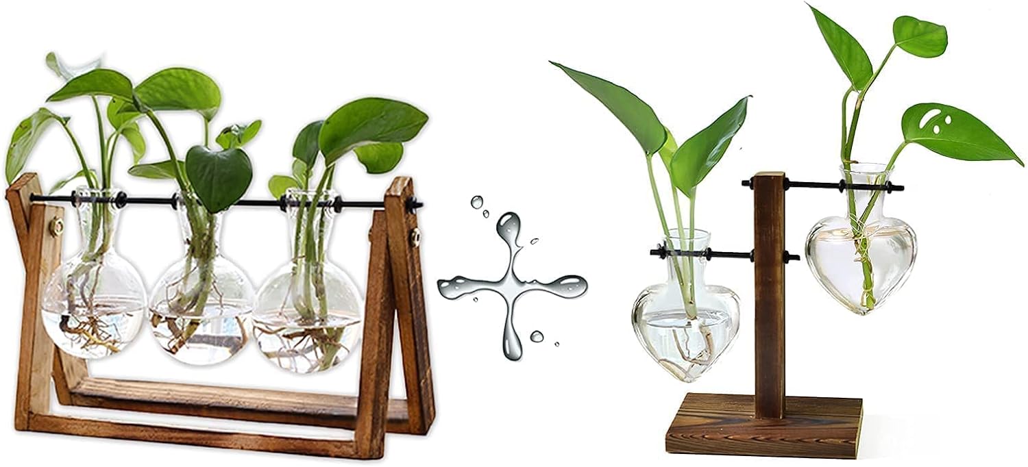 XXXFLOWER Plant Terrarium with Wooden Stand Air Planter Bulb Glass Vase Metal Swivel Holder Retro Tabletop for Hydroponics Home Garden Office Decoration