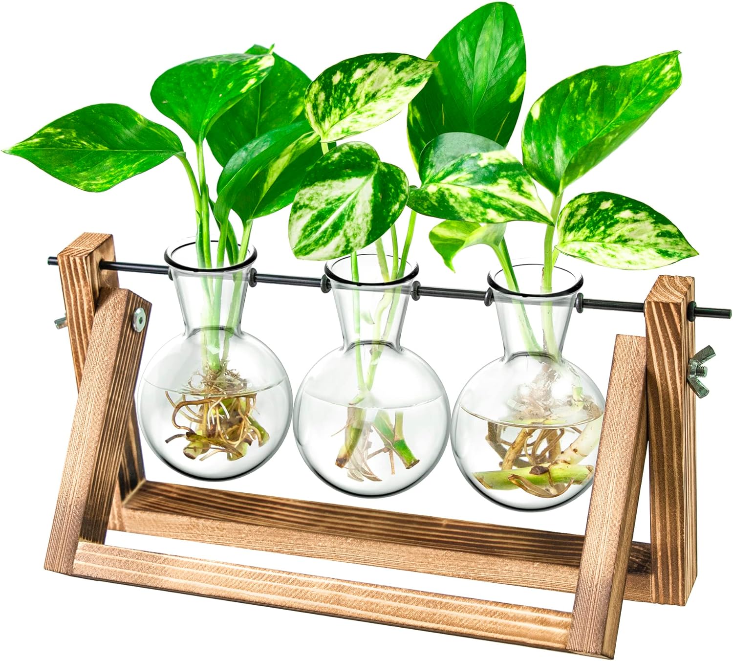 Ivolador Desktop Propagation Station, Plant Terrarium, Plant Lover Gifts for Women for Hydroponics Plants Home Garden Wedding Decor (3 Bulbs)